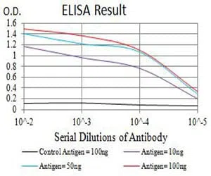 AQP2 Mouse Monoclonal Antibody - Size: 50µl