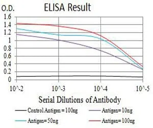 CHRNB4 Mouse Monoclonal Antibody - Size: 100µl