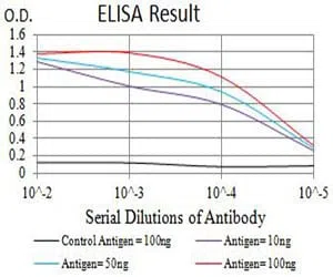 BCL6 Mouse Monoclonal Antibody - Size: 100µl
