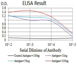 P2RY4 Mouse Monoclonal Antibody - Size: 50µl