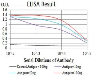 GRIN2B Mouse Monoclonal Antibody - Size: 50µl
