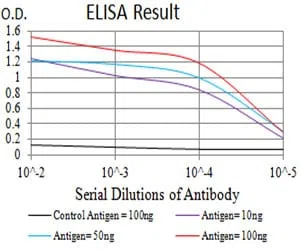ELANE Mouse Monoclonal Antibody - Size: 100µl