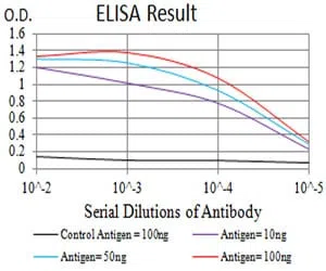 Dynamin-2 Mouse Monoclonal Antibody - Size: 50µl