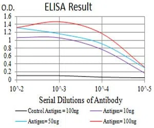 CD207 Mouse Monoclonal Antibody - Size: 100µl