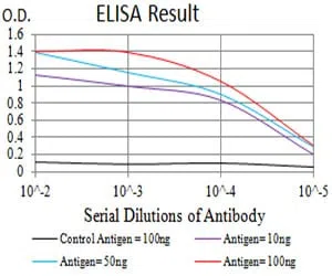 GRM2 Mouse Monoclonal Antibody - Size: 100µl