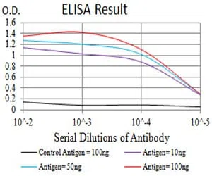 CD10 Mouse Monoclonal Antibody - Size: 100µl
