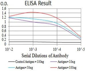 CD166 Mouse Monoclonal Antibody - Size: 50µl