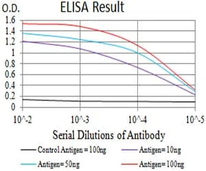 CD197 Mouse Monoclonal Antibody - Size: 50µl