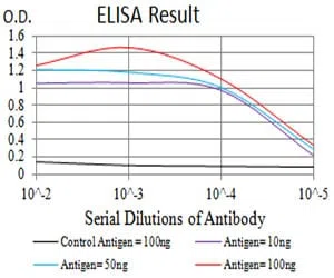 CD197 Mouse Monoclonal Antibody - Size: 50µl
