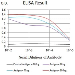 CD209 Mouse Monoclonal Antibody - Size: 100µl