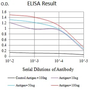 CD183 Mouse Monoclonal Antibody - Size: 100µl