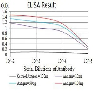 FOLR1 Mouse Monoclonal Antibody - Size: 100µl