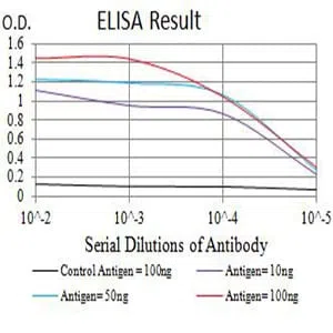 CD161 Mouse Monoclonal Antibody - Size: 100µl