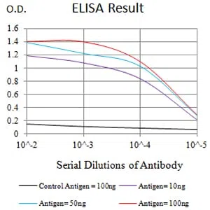 P2RY2 Mouse Monoclonal Antibody - Size: 100µl