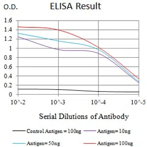 CD39 Mouse Monoclonal Antibody - Size: 100µl