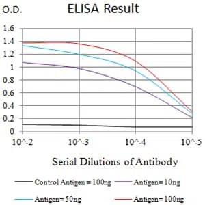 CD39 Mouse Monoclonal Antibody - Size: 100µl
