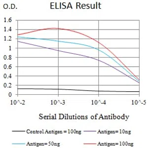 CD335 Mouse Monoclonal Antibody - Size: 100µl