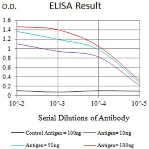 CEACAM8 Mouse Monoclonal Antibody - Size: 100µl