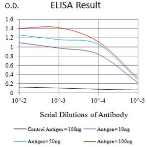 CHRNE Mouse Monoclonal Antibody - Size: 100µl