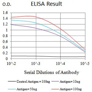 CD54 Mouse Monoclonal Antibody - Size: 50µl