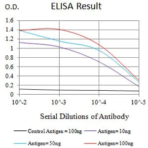 CD8A Mouse Monoclonal Antibody - Size: 100µl