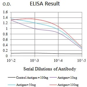 CD89 Mouse Monoclonal Antibody - Size: 100µl