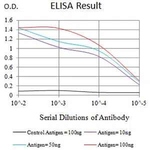 CD89 Mouse Monoclonal Antibody - Size: 100µl