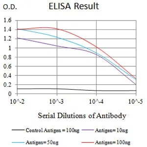 CD16B Mouse Monoclonal Antibody - Size: 100µl