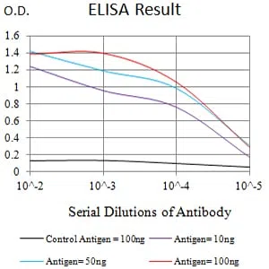 CD106 Mouse Monoclonal Antibody - Size: 100µl