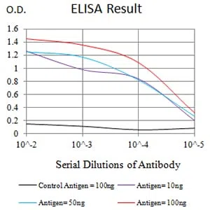 CD57 Mouse Monoclonal Antibody - Size: 50µl