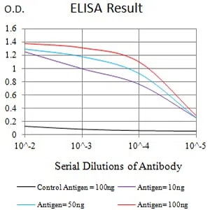 CD46 Mouse Monoclonal Antibody - Size: 50µl