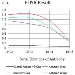 ATG4A Mouse Monoclonal Antibody - Size: 50µl