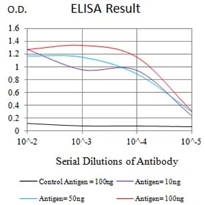 ATG4A Mouse Monoclonal Antibody - Size: 50µl
