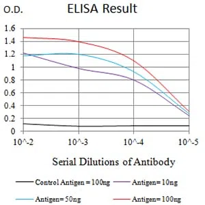 LRP3 Mouse Monoclonal Antibody - Size: 100µl