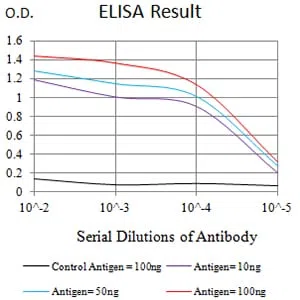 TRIM29 Mouse Monoclonal Antibody - Size: 100µl