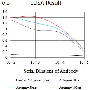 CD53 Mouse Monoclonal Antibody - Size: 100µl