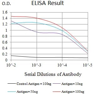 BTN1A1 Mouse Monoclonal Antibody - Size: 50µl
