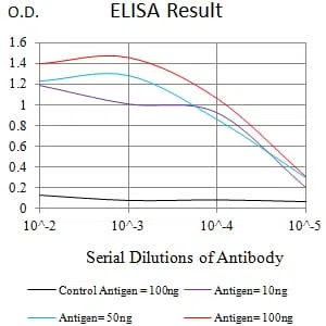FCGRT Mouse Monoclonal Antibody - Size: 50µl