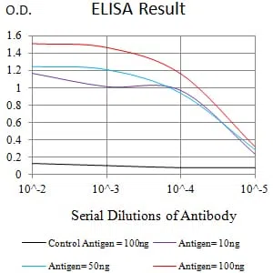 FCGRT Mouse Monoclonal Antibody - Size: 100µl