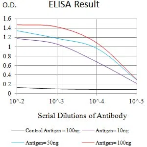 CLL1 Mouse Monoclonal Antibody - Size: 100µl