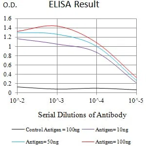 CLL1 Mouse Monoclonal Antibody - Size: 100µl