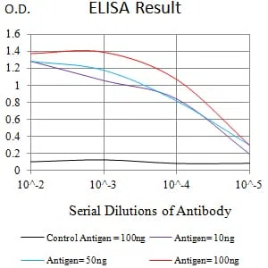 CD148 Mouse Monoclonal Antibody - Size: 50µl