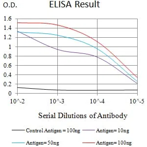 CD363 Mouse Monoclonal Antibody - Size: 100µl