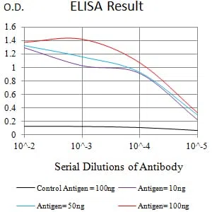 CD352 Mouse Monoclonal Antibody - Size: 100µl