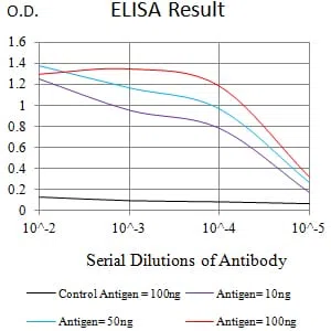 IL10RB Mouse Monoclonal Antibody - Size: 100µl