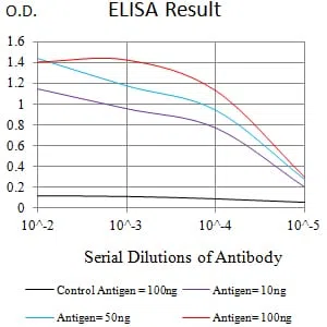 CD339 Mouse Monoclonal Antibody - Size: 100µl