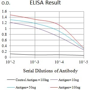 CD336 Mouse Monoclonal Antibody - Size: 100µl