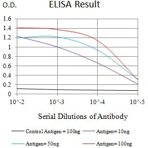RAB27B Mouse Monoclonal Antibody - Size: 100µl