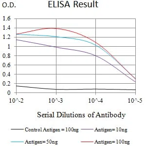 CHRM5 Mouse Monoclonal Antibody - Size: 100µl