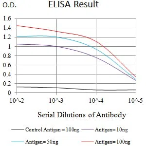 CD182 Mouse Monoclonal Antibody - Size: 100µl